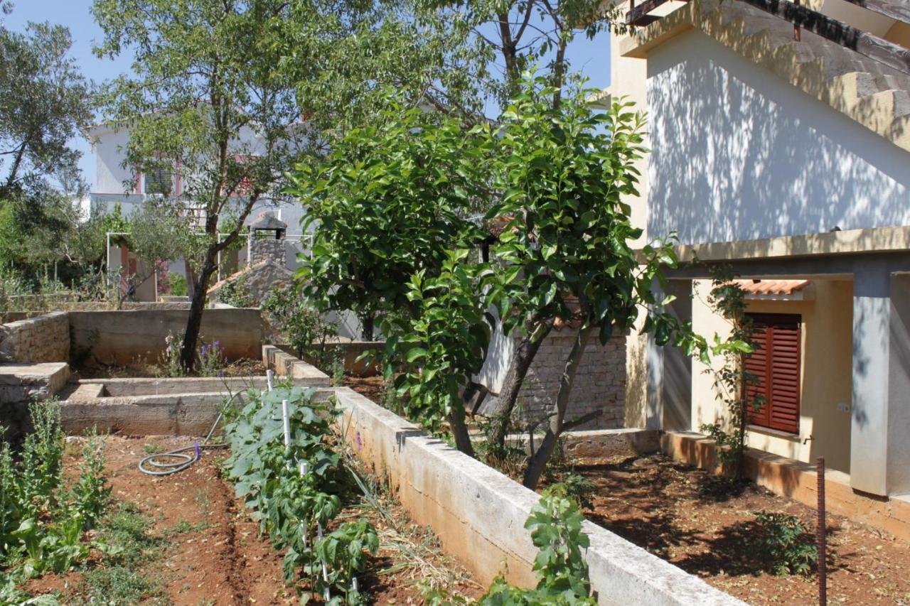 Apartman With A Parking Space Sali, Dugi Otok - 8152